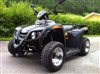 Dinli 450R Supermoto Dinli 450R Supermoto