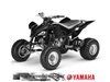 Yamaha YFM 450 Yamaha YFM 450