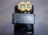 CDI Unit Assy CDI Unit Assy