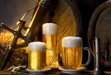 Dresdner Biertour