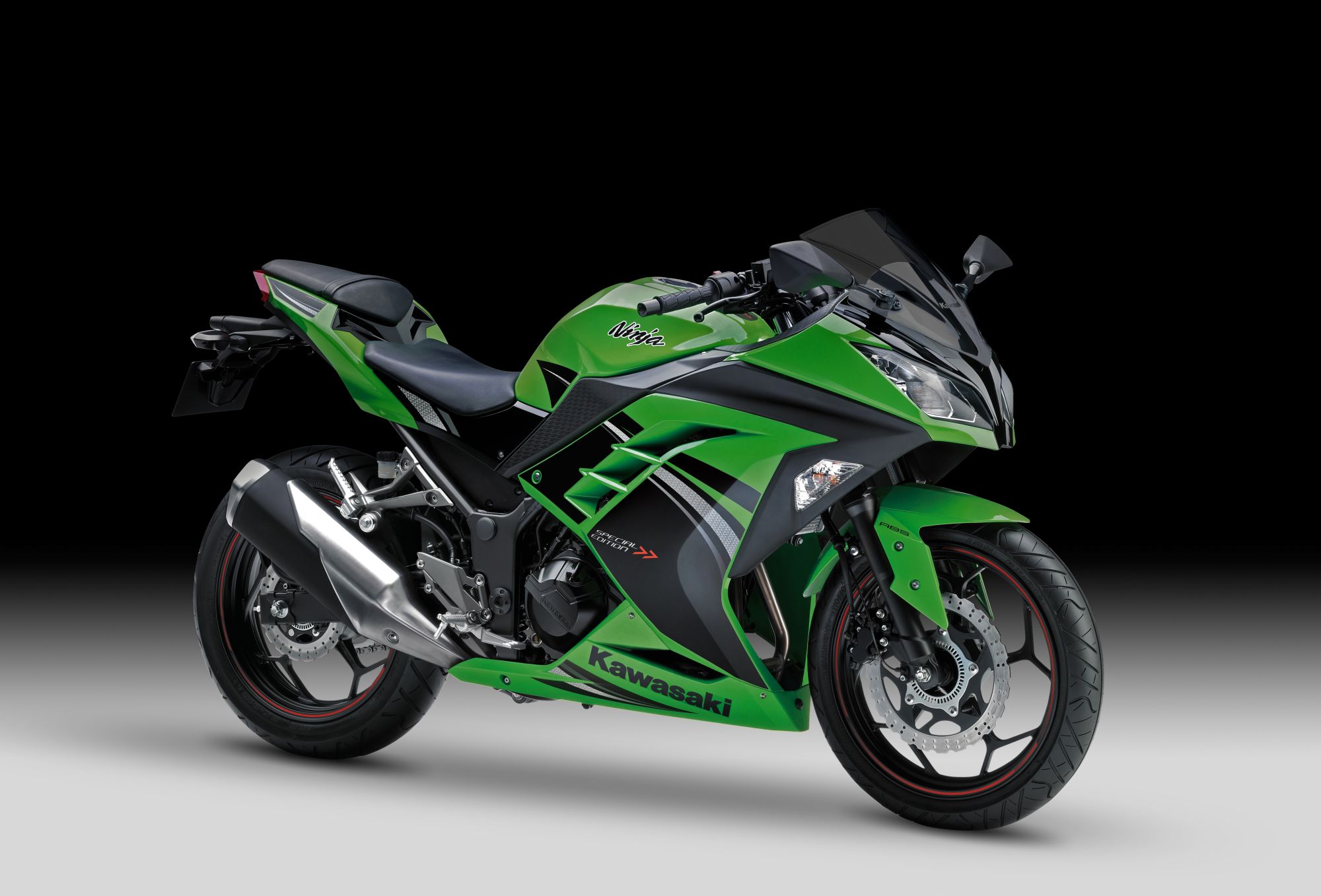 ninja 300 daten ninja 300 daten