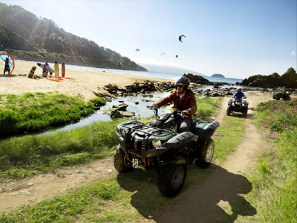 Yamaha Grizzly 550