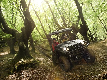 Yamaha Rhino 700 ie