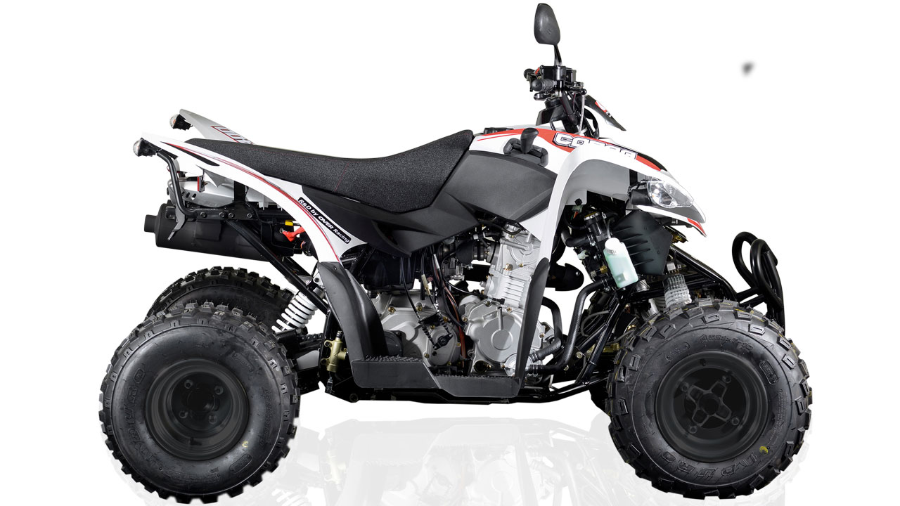 Gebrauchte und neue Aeon Cobra 400 Motorräder kaufen