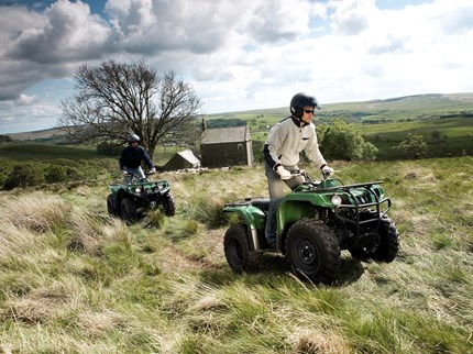 Yamaha Grizzly 350 4WD