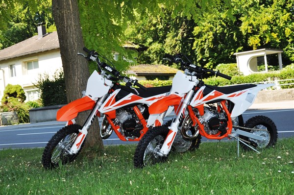 *** NEU EINGETROFFEN***
