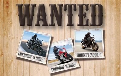 Wanted Modelle