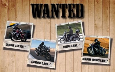 Wanted Modelle zum Sonderpreis !