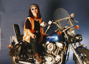 Harley-Davidson Sportster XL 883 Classic Custom Bike