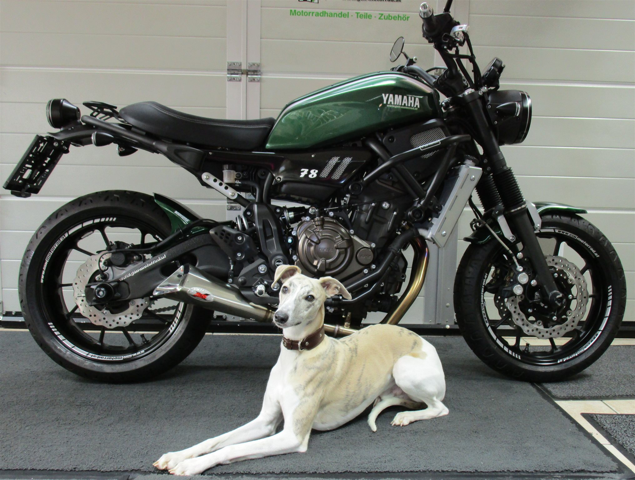 Yamaha Motorrad Ps umgebautes motorrad yamaha xsr700 von gsn motorraeder Yamaha Motorrad Ps umgebautes motorrad yamaha xsr700 von gsn motorraeder