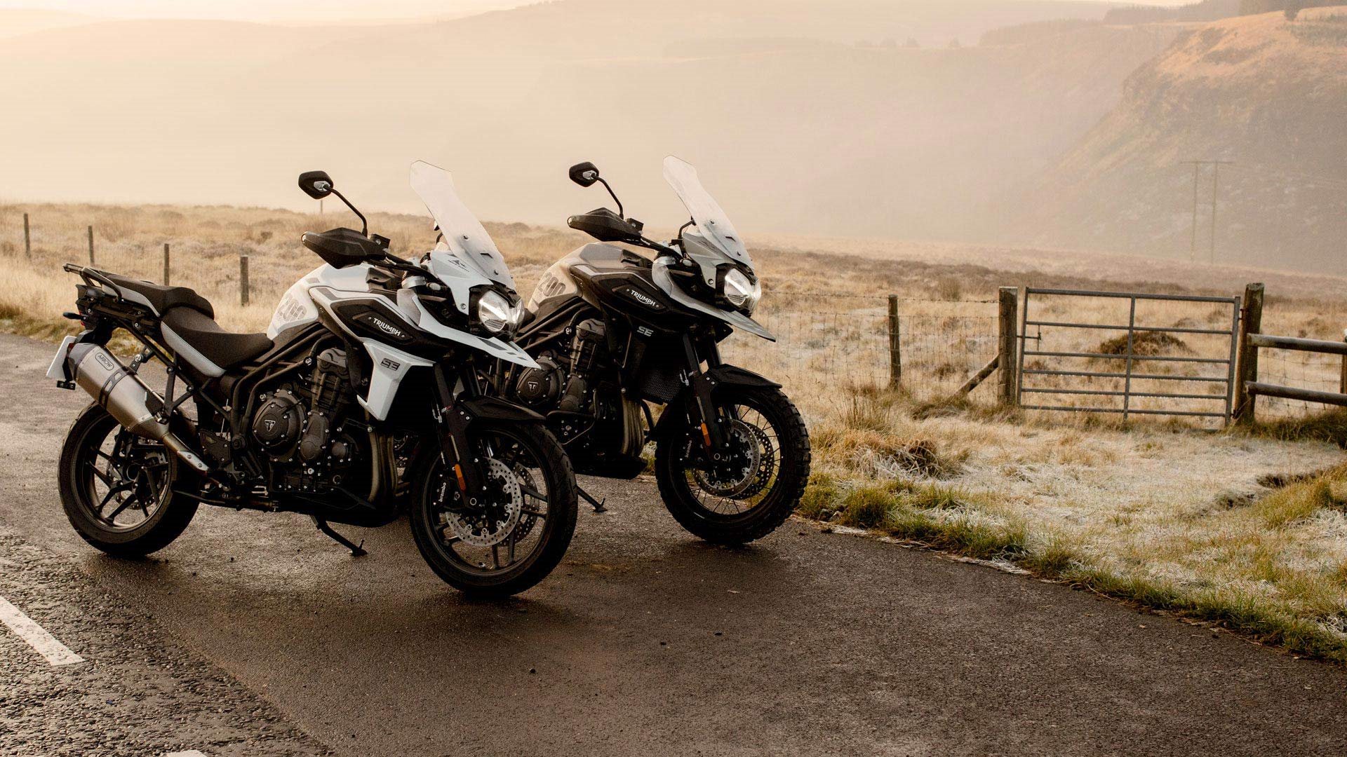 TIGER 1200 DESERT & ALPINE EDITION