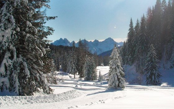 Villa Chele - Bild 15