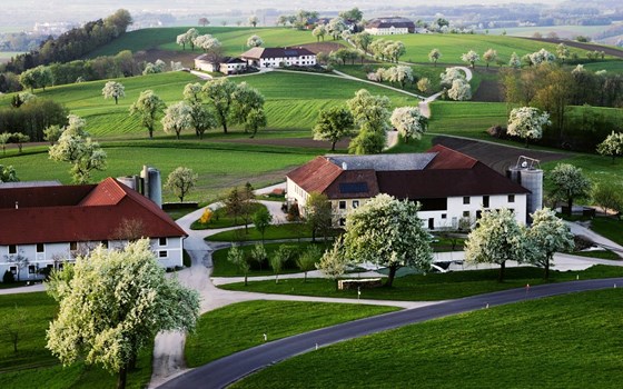 Landhotel GAFRINGWIRT Familie Hochholzer - Bild 7 Landhotel GAFRINGWIRT Familie Hochholzer - Bild 7
