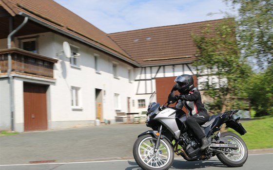 Zum Wilden Zimmermann - Bild 10