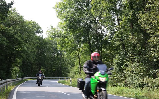 Zum Wilden Zimmermann - Bild 12