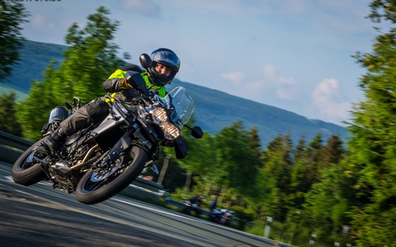 Zum Wilden Zimmermann - Bild 3