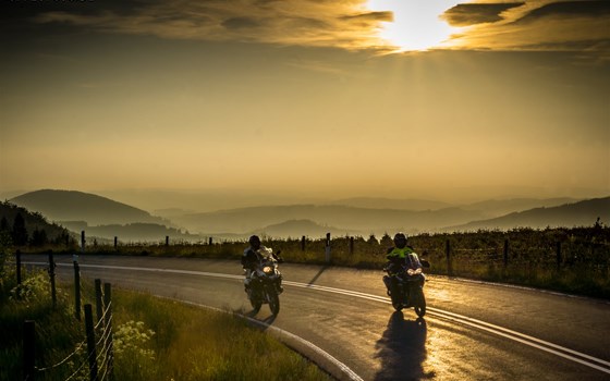 Zum Wilden Zimmermann - Bild 5