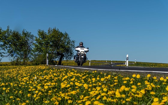 Best Western Plus Konrad Zuse Hotel - Bild 19