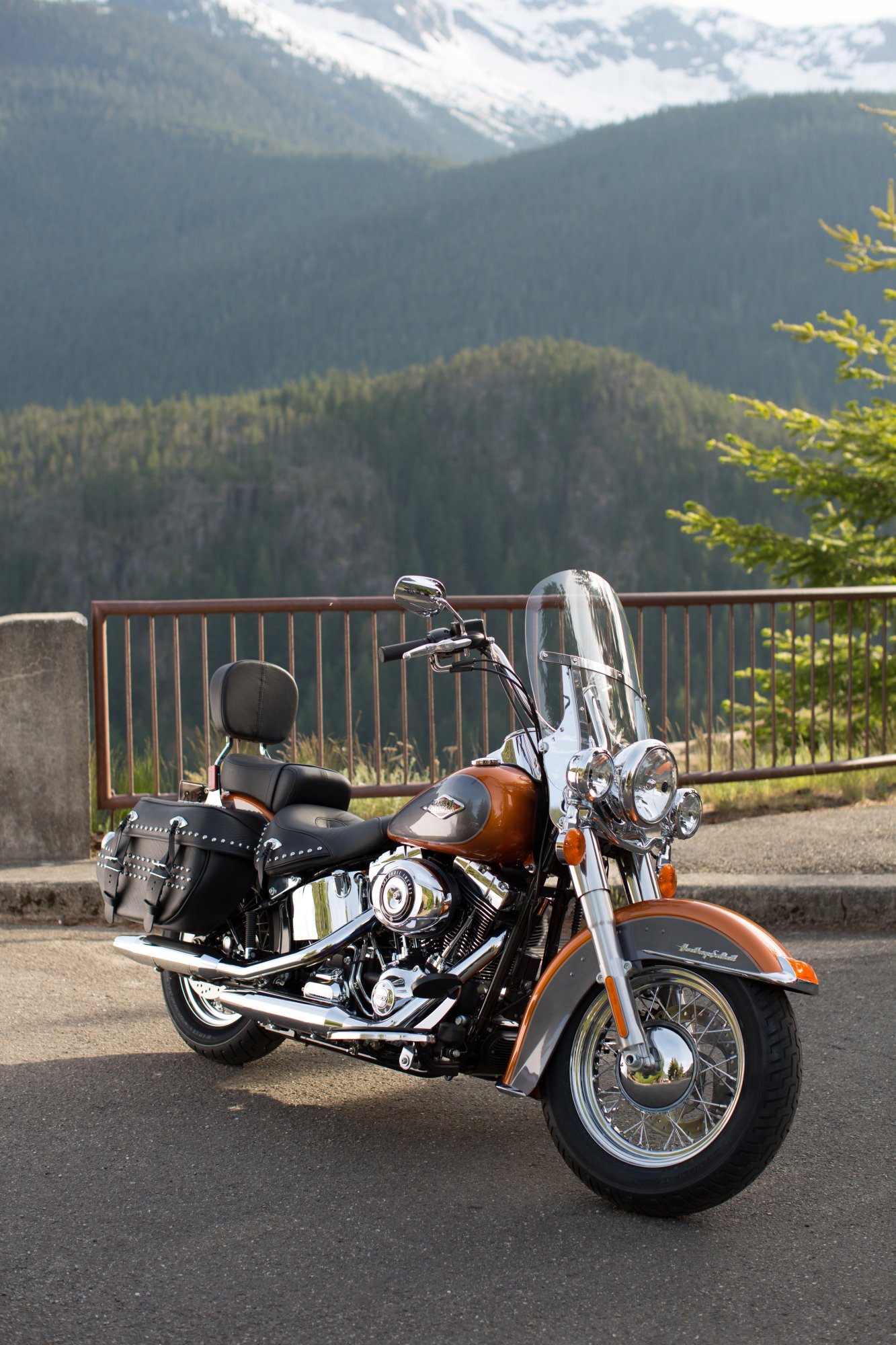 Харлей Дэвидсон FLSTC Heritage Softail Classic