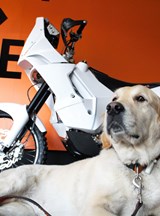 Paula KTM