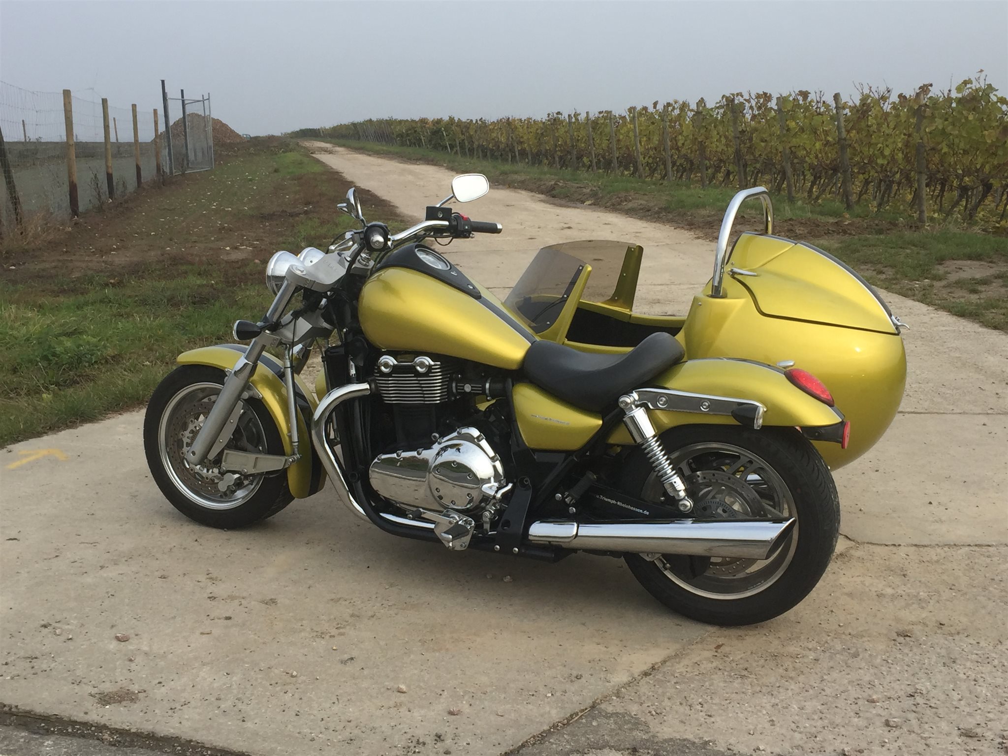 Details On The Custom Bike Triumph Thunderbird Of Dealer Triumph