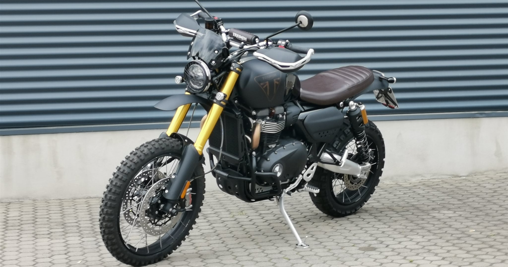 Details zum Mietmotorrad Naked Bike Scrambler 1200 XC des 